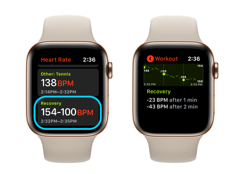 Apple Watch Heart Rate Recovery